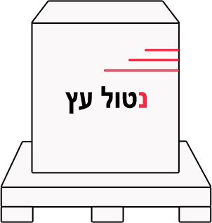 נייר נטול עץ 